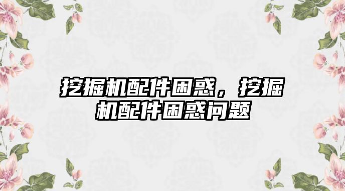 挖掘機(jī)配件困惑，挖掘機(jī)配件困惑問題
