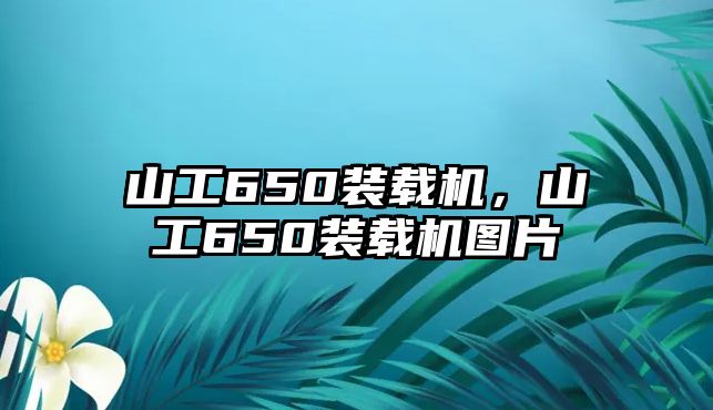 山工650裝載機，山工650裝載機圖片