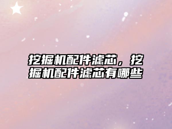 挖掘機(jī)配件濾芯，挖掘機(jī)配件濾芯有哪些
