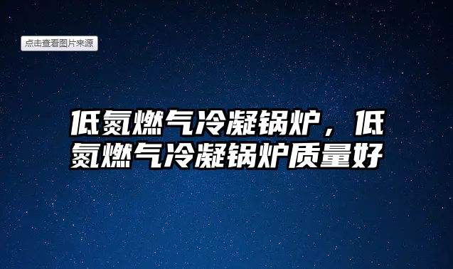 低氮燃?xì)饫淠仩t，低氮燃?xì)饫淠仩t質(zhì)量好