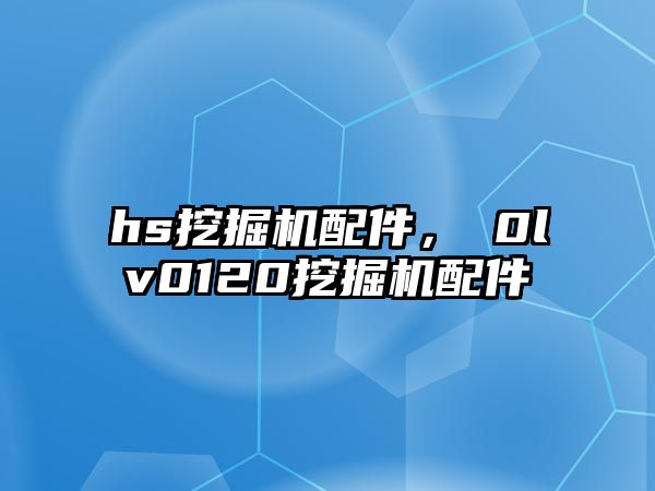 hs挖掘機配件，ⅴ0lv0120挖掘機配件