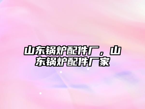 山東鍋爐配件廠，山東鍋爐配件廠家