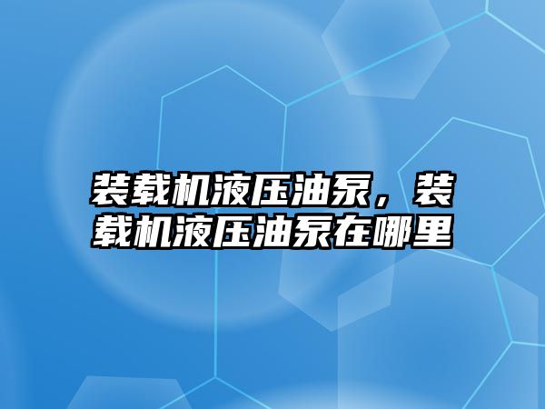 裝載機液壓油泵，裝載機液壓油泵在哪里