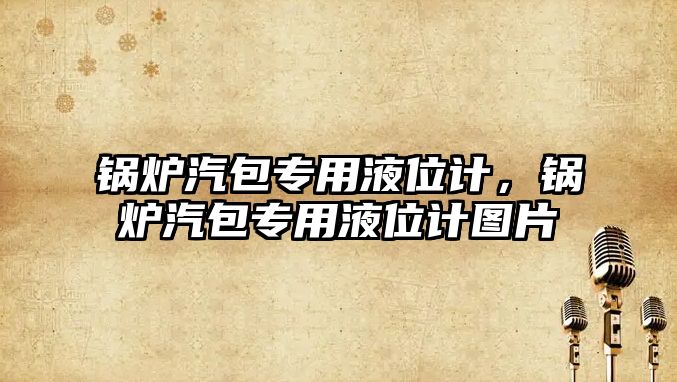 鍋爐汽包專用液位計，鍋爐汽包專用液位計圖片