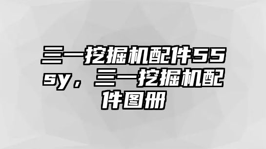 三一挖掘機配件55sy，三一挖掘機配件圖冊