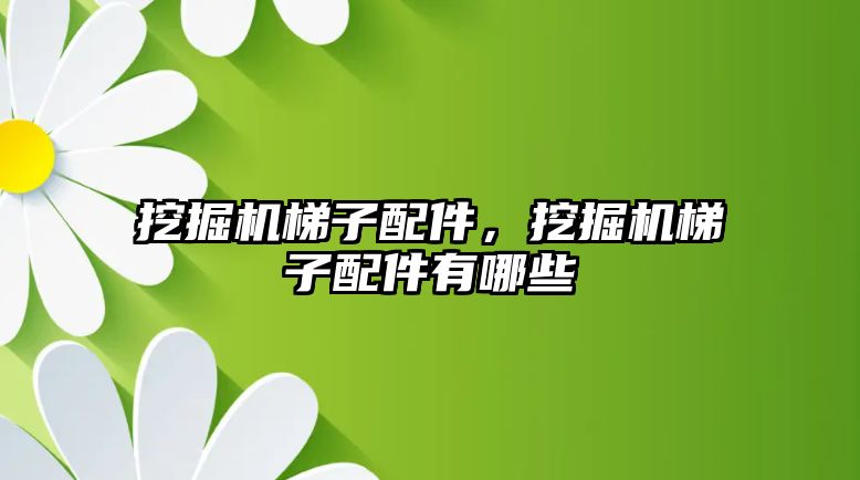 挖掘機(jī)梯子配件，挖掘機(jī)梯子配件有哪些