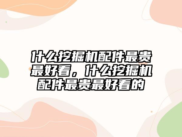 什么挖掘機配件最貴最好看，什么挖掘機配件最貴最好看的