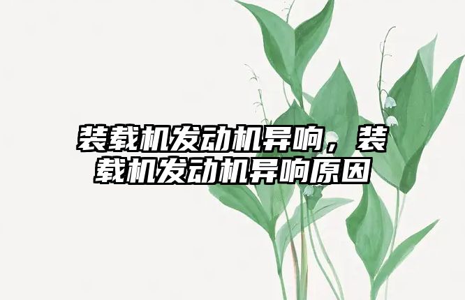 裝載機(jī)發(fā)動(dòng)機(jī)異響，裝載機(jī)發(fā)動(dòng)機(jī)異響原因