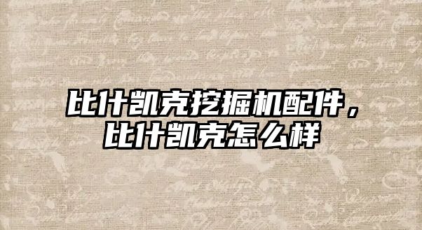 比什凱克挖掘機(jī)配件，比什凱克怎么樣