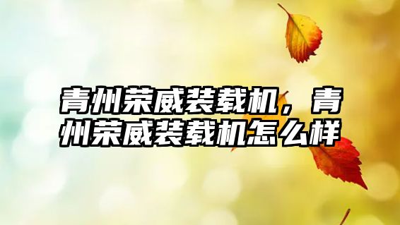 青州榮威裝載機(jī)，青州榮威裝載機(jī)怎么樣