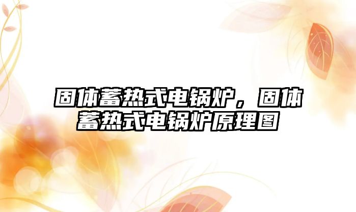 固體蓄熱式電鍋爐，固體蓄熱式電鍋爐原理圖