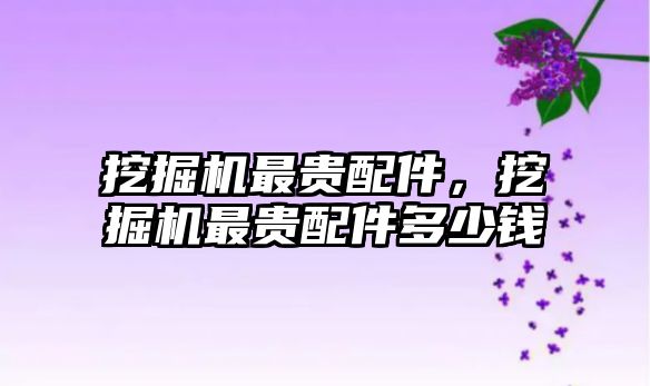 挖掘機最貴配件，挖掘機最貴配件多少錢