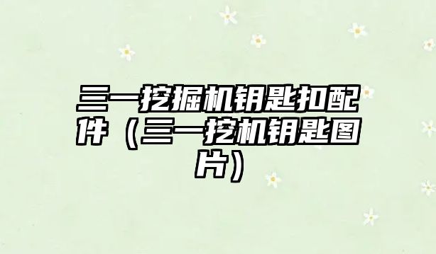 三一挖掘機(jī)鑰匙扣配件（三一挖機(jī)鑰匙圖片）