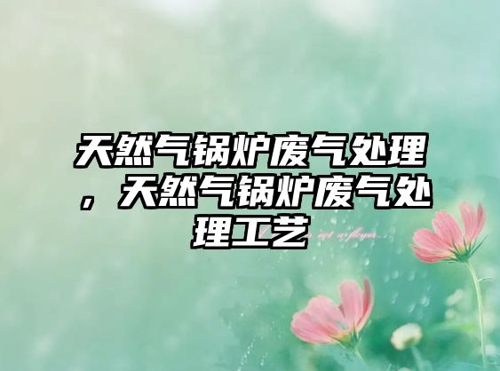天然氣鍋爐廢氣處理，天然氣鍋爐廢氣處理工藝