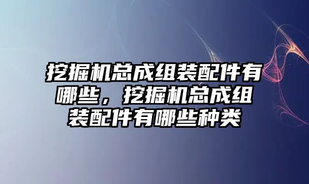 挖掘機(jī)總成組裝配件有哪些，挖掘機(jī)總成組裝配件有哪些種類