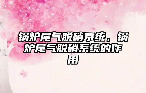 鍋爐尾氣脫硝系統(tǒng)，鍋爐尾氣脫硝系統(tǒng)的作用