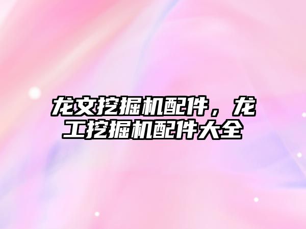 龍文挖掘機配件，龍工挖掘機配件大全