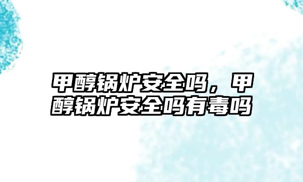 甲醇鍋爐安全嗎，甲醇鍋爐安全嗎有毒嗎