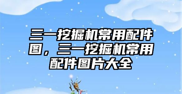 三一挖掘機常用配件圖，三一挖掘機常用配件圖片大全
