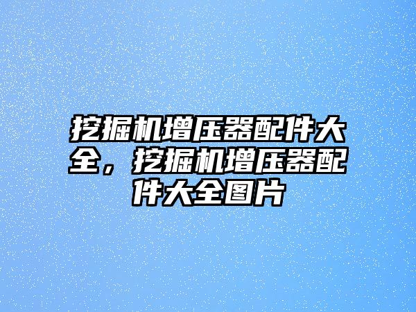 挖掘機(jī)增壓器配件大全，挖掘機(jī)增壓器配件大全圖片