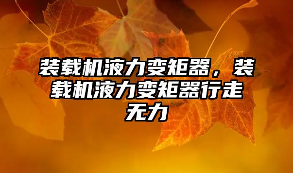 裝載機(jī)液力變矩器，裝載機(jī)液力變矩器行走無力