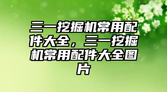 三一挖掘機常用配件大全，三一挖掘機常用配件大全圖片