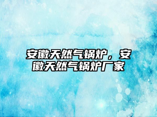 安徽天然氣鍋爐，安徽天然氣鍋爐廠家