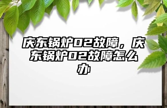 慶東鍋爐02故障，慶東鍋爐02故障怎么辦