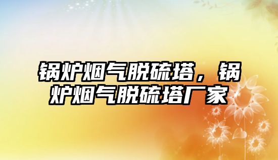 鍋爐煙氣脫硫塔，鍋爐煙氣脫硫塔廠家