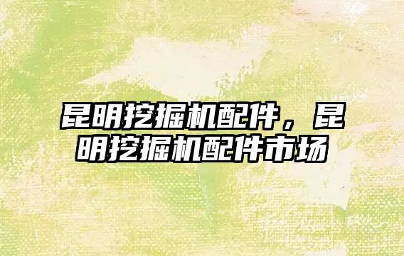 昆明挖掘機配件，昆明挖掘機配件市場