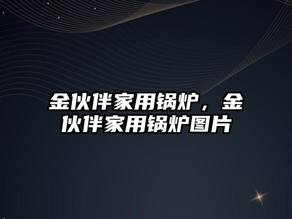 金伙伴家用鍋爐，金伙伴家用鍋爐圖片
