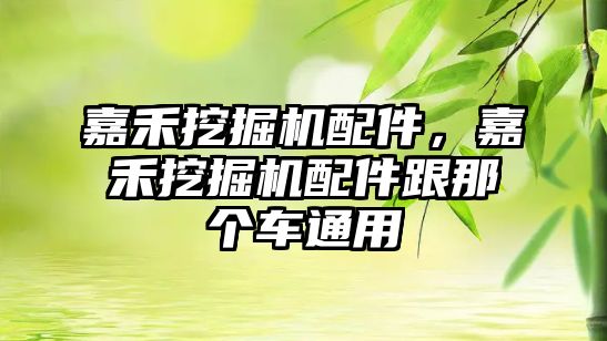 嘉禾挖掘機配件，嘉禾挖掘機配件跟那個車通用