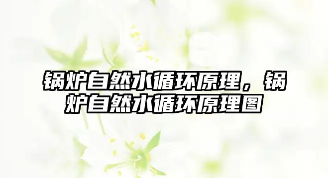 鍋爐自然水循環(huán)原理，鍋爐自然水循環(huán)原理圖