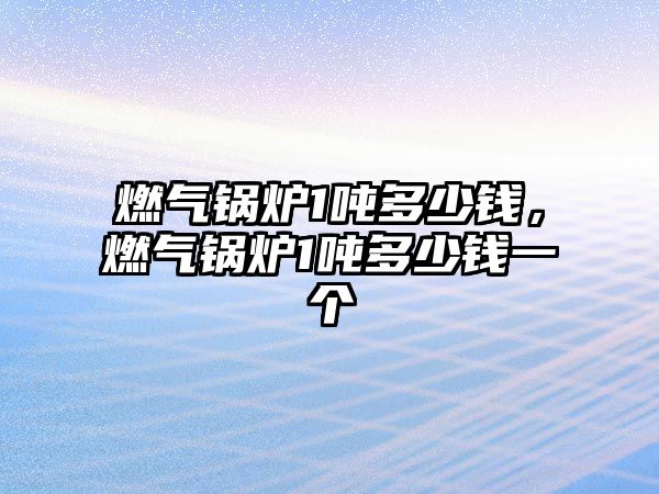 燃?xì)忮仩t1噸多少錢，燃?xì)忮仩t1噸多少錢一個(gè)
