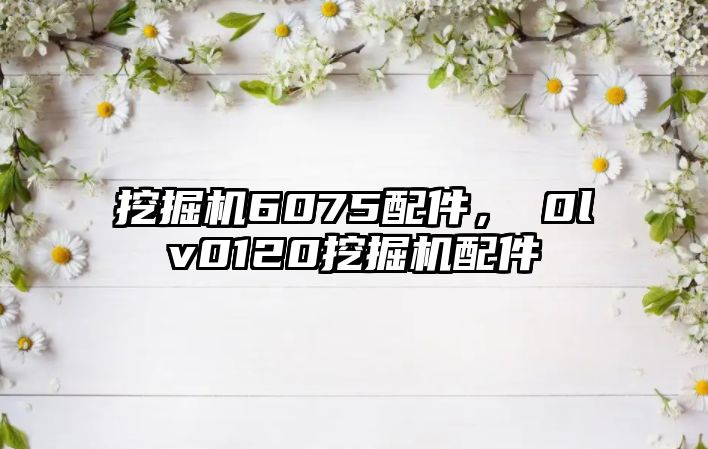 挖掘機6075配件，ⅴ0lv0120挖掘機配件