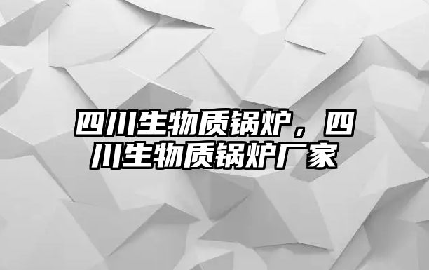 四川生物質(zhì)鍋爐，四川生物質(zhì)鍋爐廠(chǎng)家