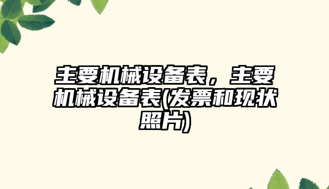 主要機械設(shè)備表，主要機械設(shè)備表(發(fā)票和現(xiàn)狀照片)