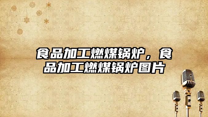 食品加工燃煤鍋爐，食品加工燃煤鍋爐圖片