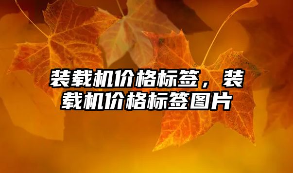 裝載機價格標簽，裝載機價格標簽圖片