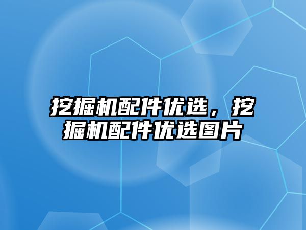 挖掘機配件優(yōu)選，挖掘機配件優(yōu)選圖片