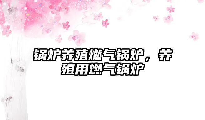 鍋爐養(yǎng)殖燃?xì)忮仩t，養(yǎng)殖用燃?xì)忮仩t