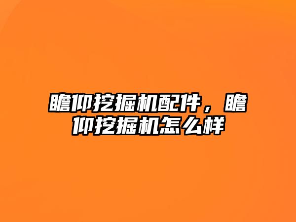 瞻仰挖掘機(jī)配件，瞻仰挖掘機(jī)怎么樣