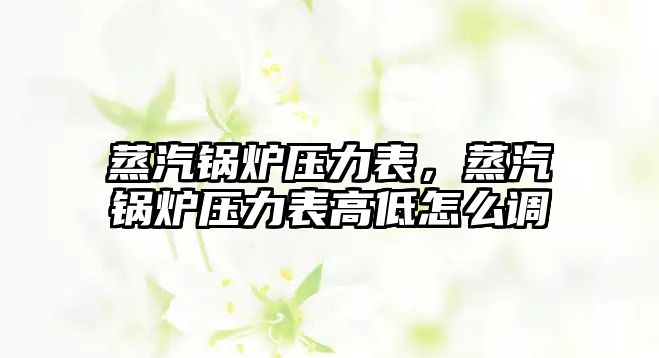 蒸汽鍋爐壓力表，蒸汽鍋爐壓力表高低怎么調(diào)
