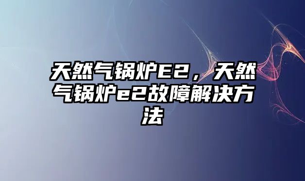 天然氣鍋爐E2，天然氣鍋爐e2故障解決方法