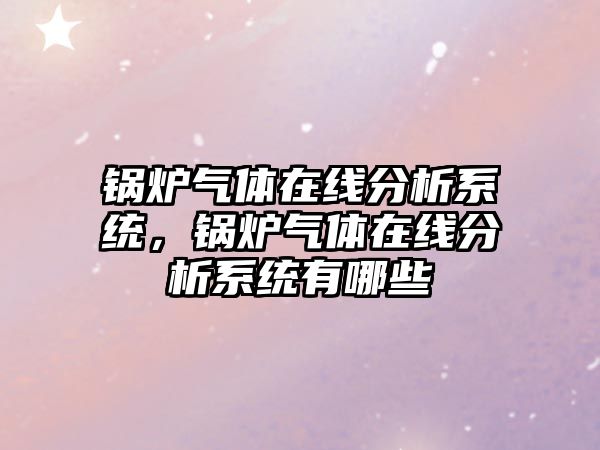 鍋爐氣體在線分析系統(tǒng)，鍋爐氣體在線分析系統(tǒng)有哪些
