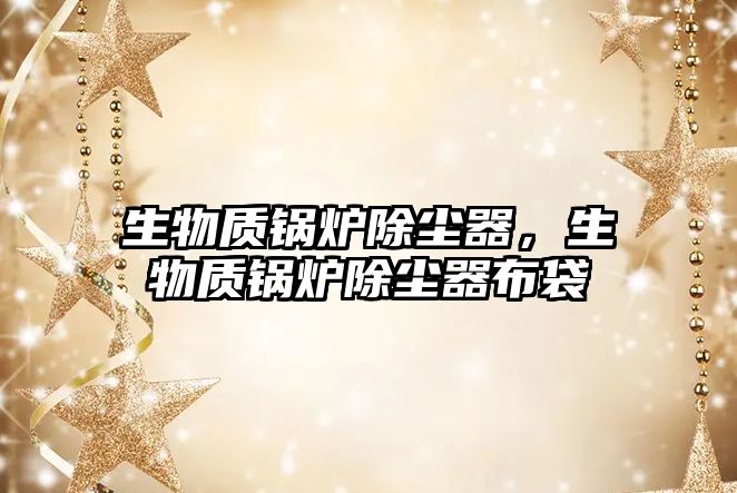 生物質(zhì)鍋爐除塵器，生物質(zhì)鍋爐除塵器布袋