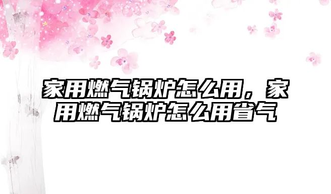 家用燃?xì)忮仩t怎么用，家用燃?xì)忮仩t怎么用省氣