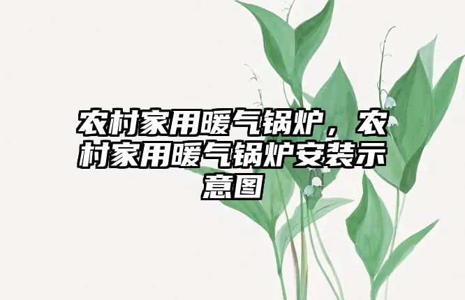 農(nóng)村家用暖氣鍋爐，農(nóng)村家用暖氣鍋爐安裝示意圖