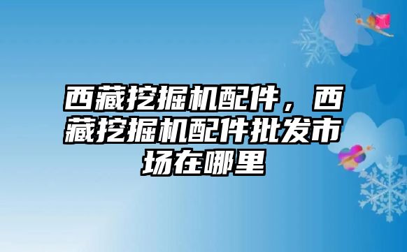 西藏挖掘機(jī)配件，西藏挖掘機(jī)配件批發(fā)市場在哪里