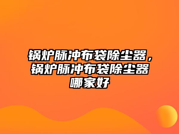 鍋爐脈沖布袋除塵器，鍋爐脈沖布袋除塵器哪家好
